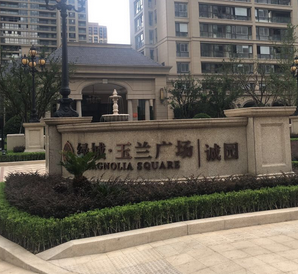 玉兰广场中央空调工程实景