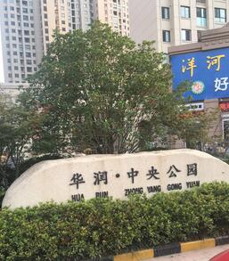 华润国际中央空调工程实景